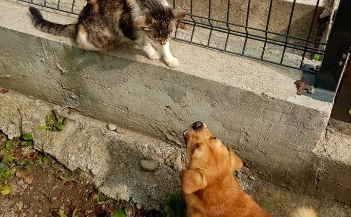 355049298 1051620612486247 8850857453778173554 n