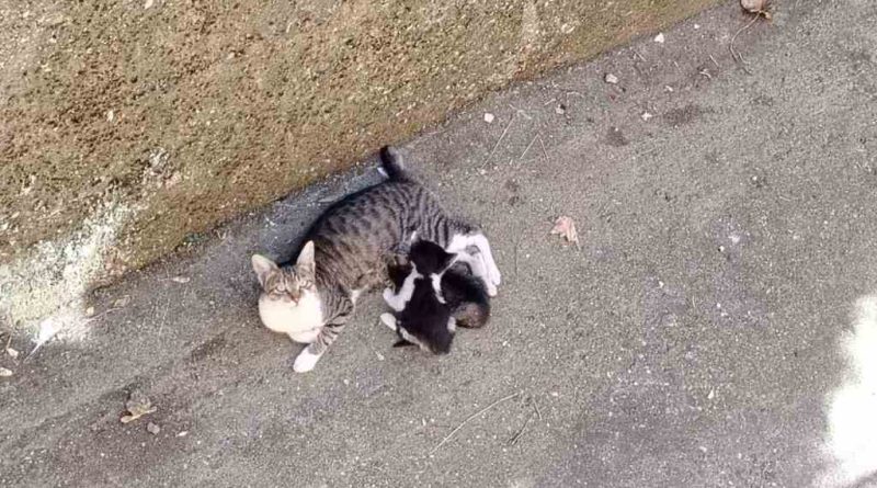 viber slika 2025 09 03 06 15 53 094