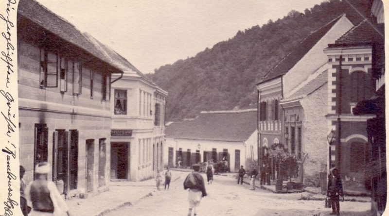 zv