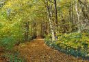 Сервисне информације 3.10.2026.