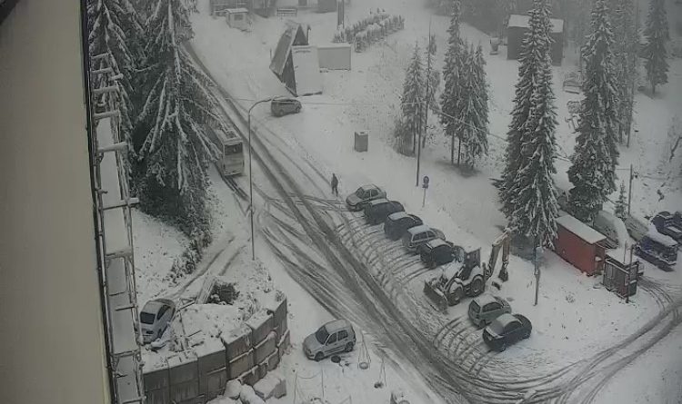 20251002065531421314