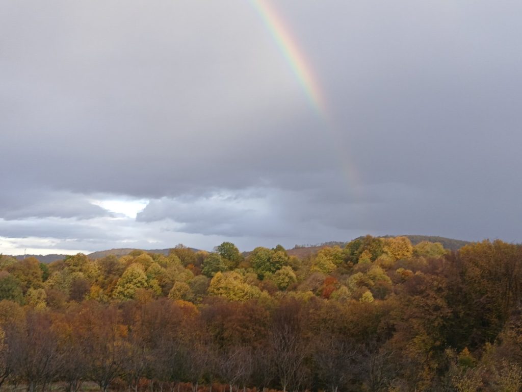 viber slika 2025 10 25 18 37 49 799