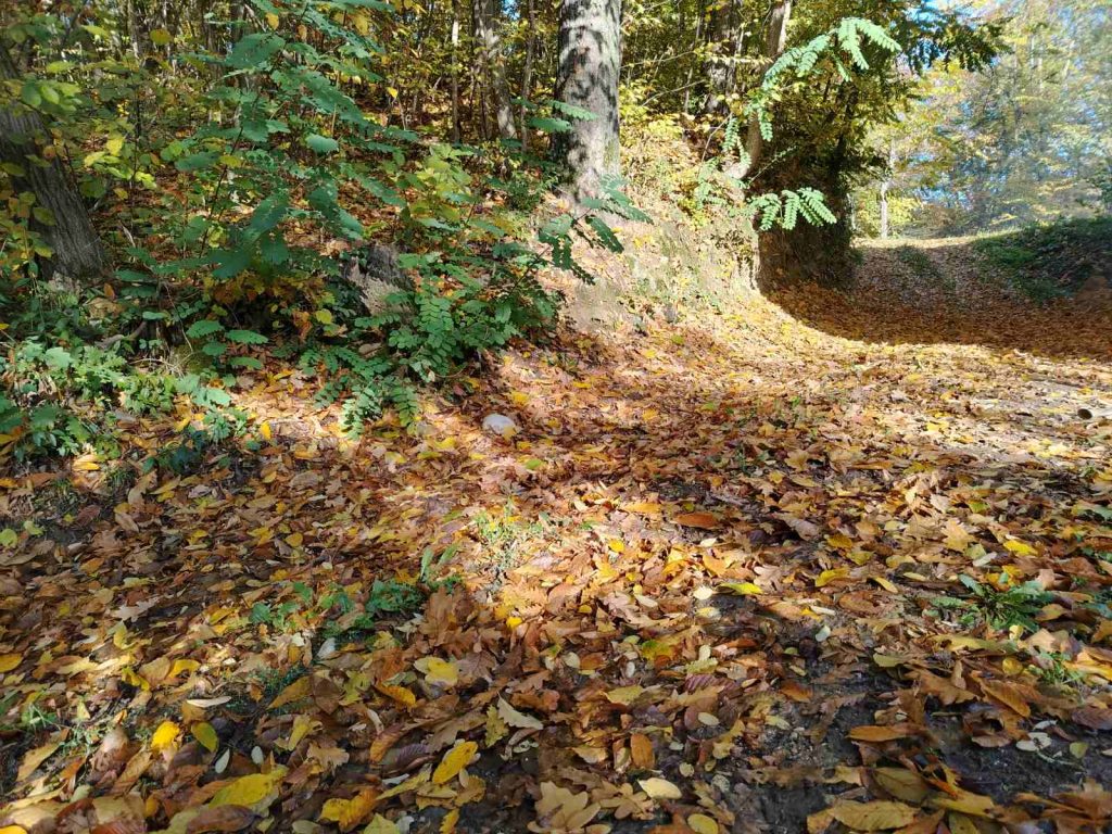 viber slika 2025 10 26 06 23 03 409