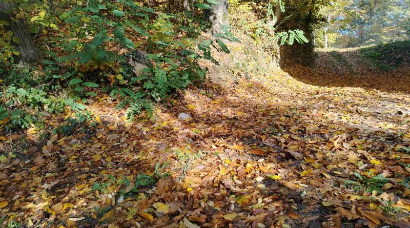 viber slika 2025 10 26 06 23 03 409