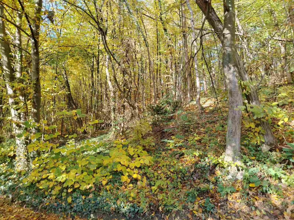 viber slika 2025 10 26 06 23 03 012 1