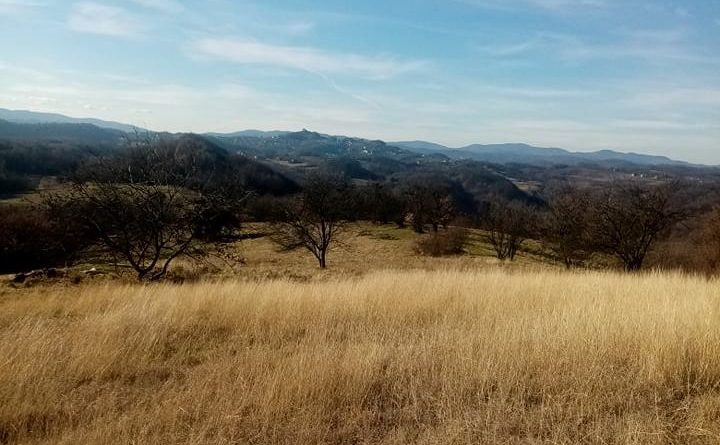 324314731 497822002480852 3701129846329792892 n