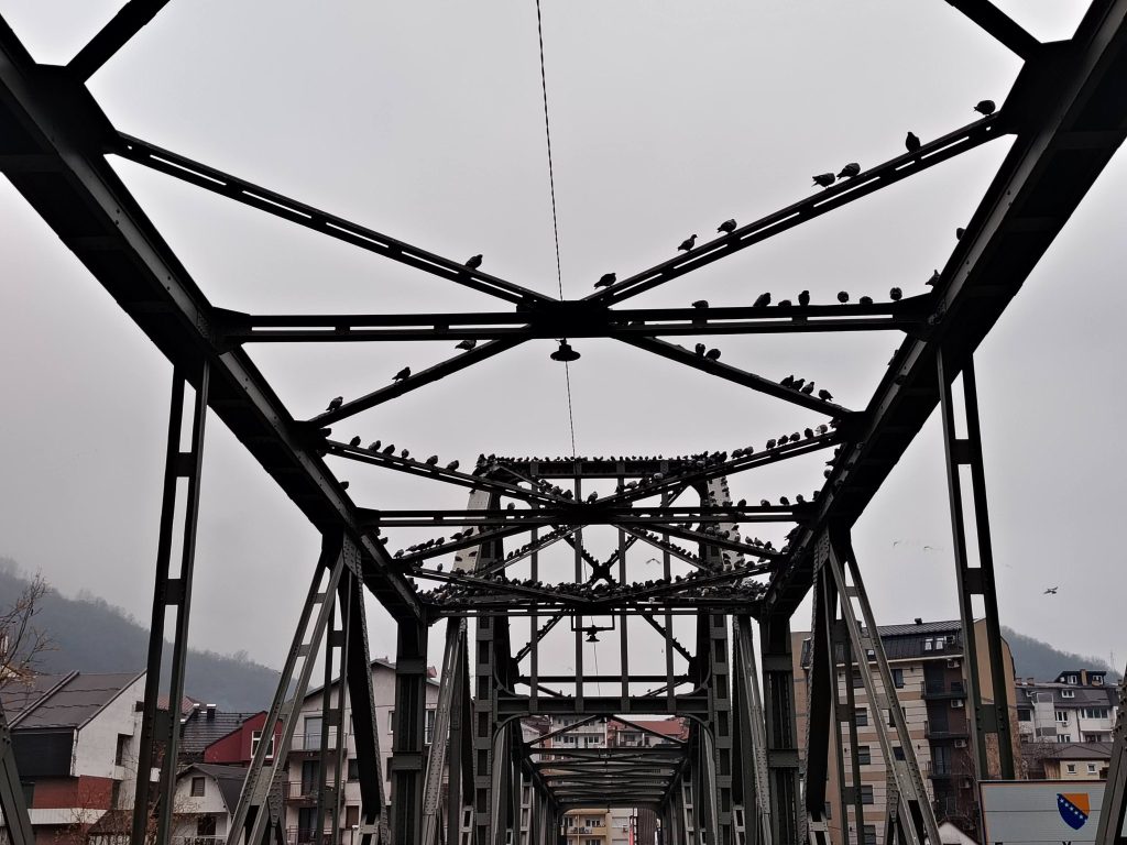 602367536 1460202572778661 2174295772587167091 n