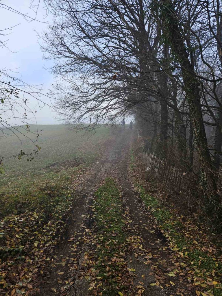 viber slika 2025 12 17 16 42 20 728