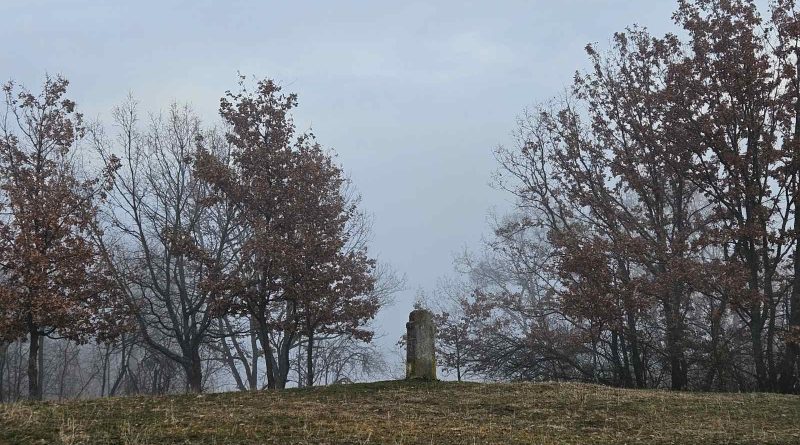 viber slika 2025 12 17 16 42 20 746