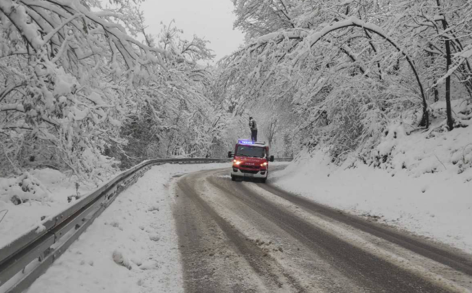 vatrogasci snijeg drvece