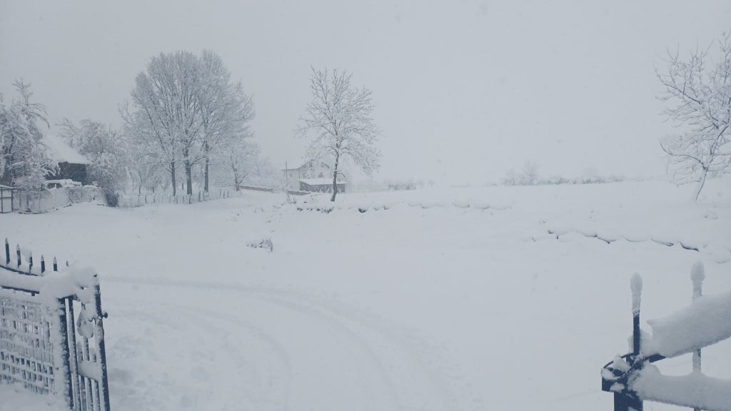 viber slika 2026 01 04 11 49 35 665