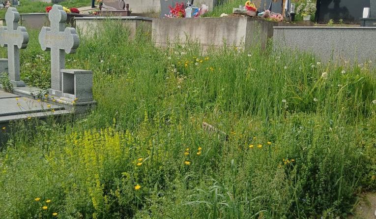 493864075 1086439880177215 2557547744566034366 n