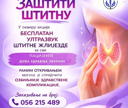 650800023 1536861508446100 4870829057450583172 n