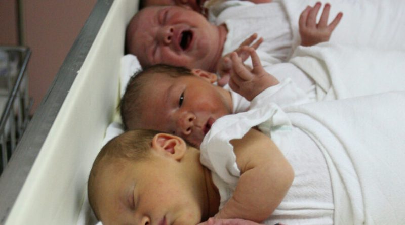 bebe 01 foto S PASALIC scaled 872x610 1