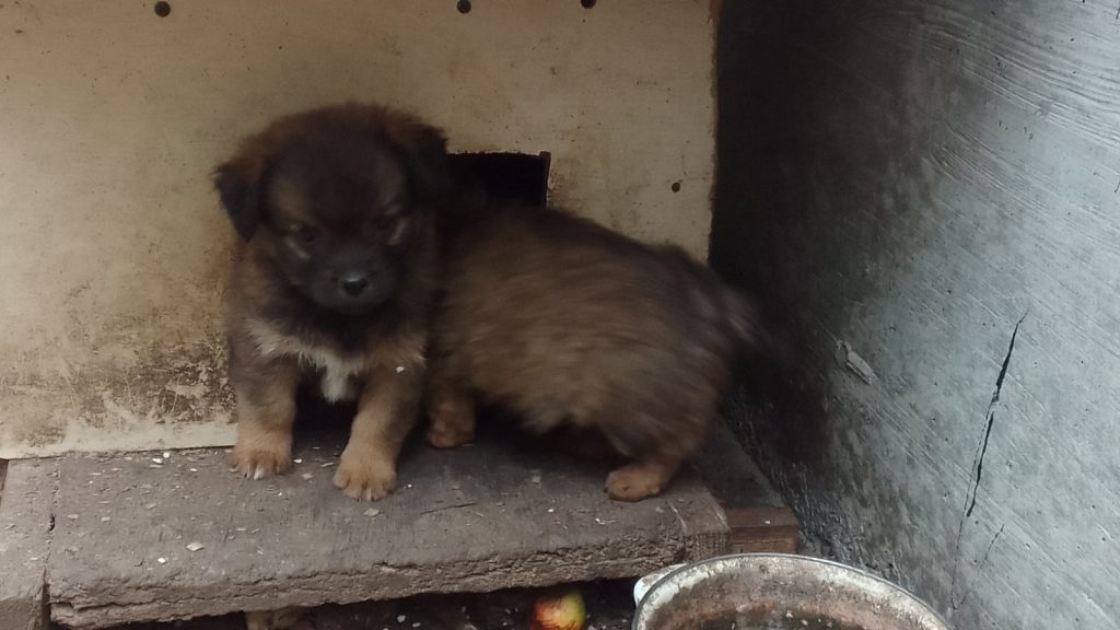 viber slika 2024 10 20 18 46 03 223