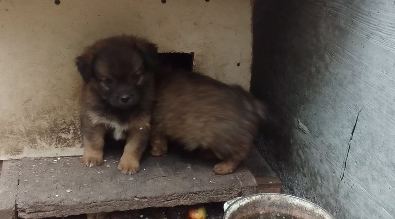 viber slika 2024 10 20 18 46 03 223