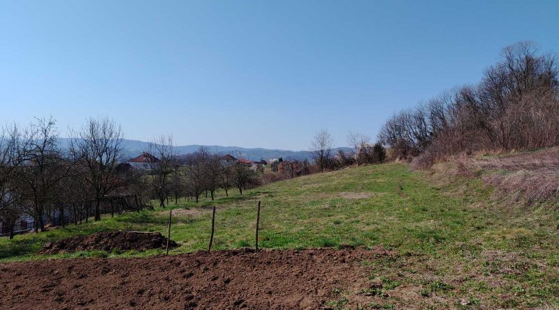 viber slika 2026 03 15 07 24 53 353