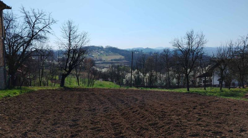 viber slika 2026 03 15 07 24 53 423