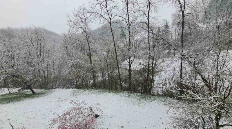 viber slika 2026 03 29 09 27 38 283