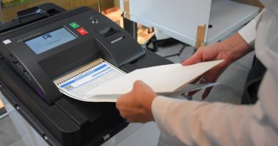 О скенерима за изборе одлучује суд?