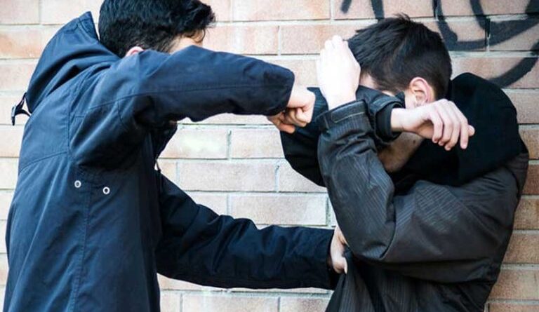 tuca 2 768x517 1 768x445 1