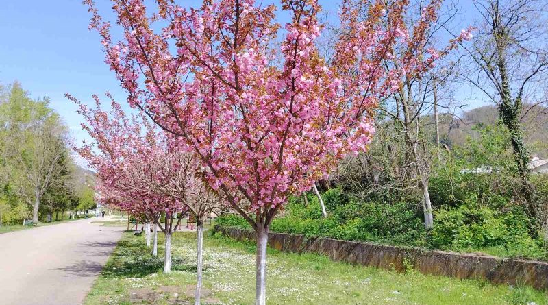 viber slika 2026 04 10 18 15 09 333