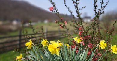 Стиже промјена времена