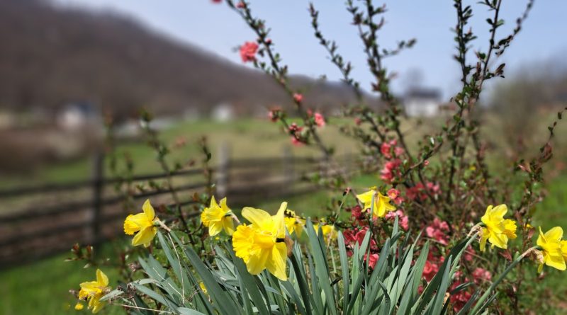 viber slika 2026 04 13 21 00 10 665