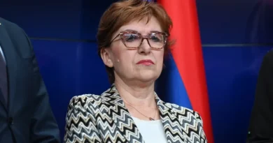 Видовић: Одлука о доприносима за иностране пензионере биће стављена ван снаге