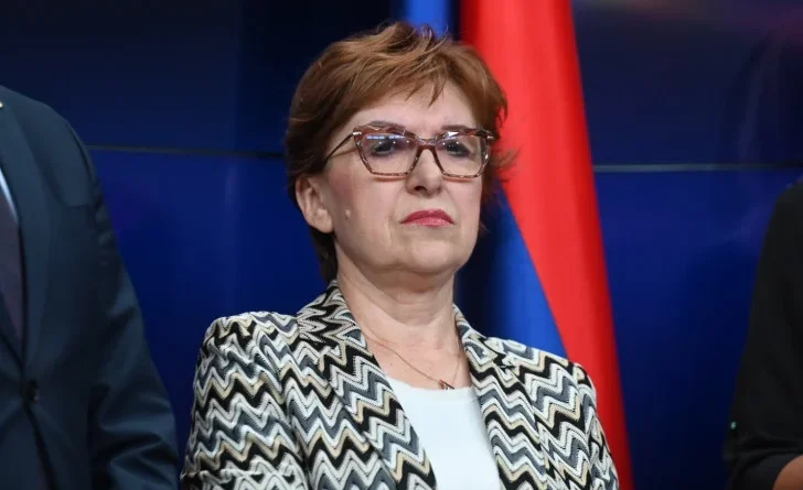 Видовић: Одлука о доприносима за иностране пензионере биће стављена ван снаге