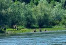 Активна потрага за малољетником у ријеци Дрини