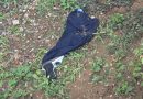 Мали Зворник: Четири особе ухапшене због посједовања оружја