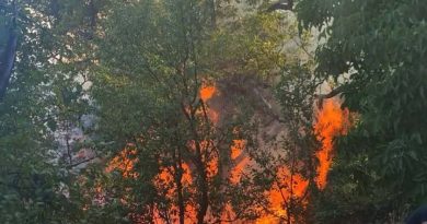 Зворнички ватрогасци настављају гашење пожара на Снагову