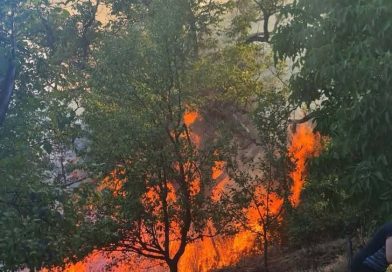 Зворнички ватрогасци настављају гашење пожара на Снагову