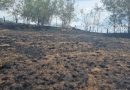 Градоначелник Ивановић обишао пожариште у Самарима