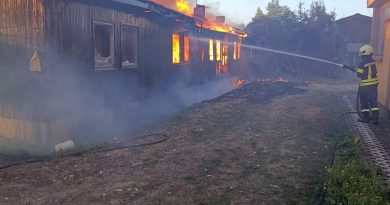 Пожар у Каракају, ватрогасци на терену
