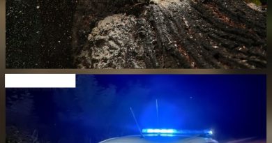 Лице смртно страдало у шуми
