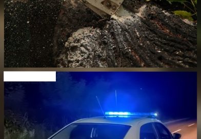 Лице смртно страдало у шуми