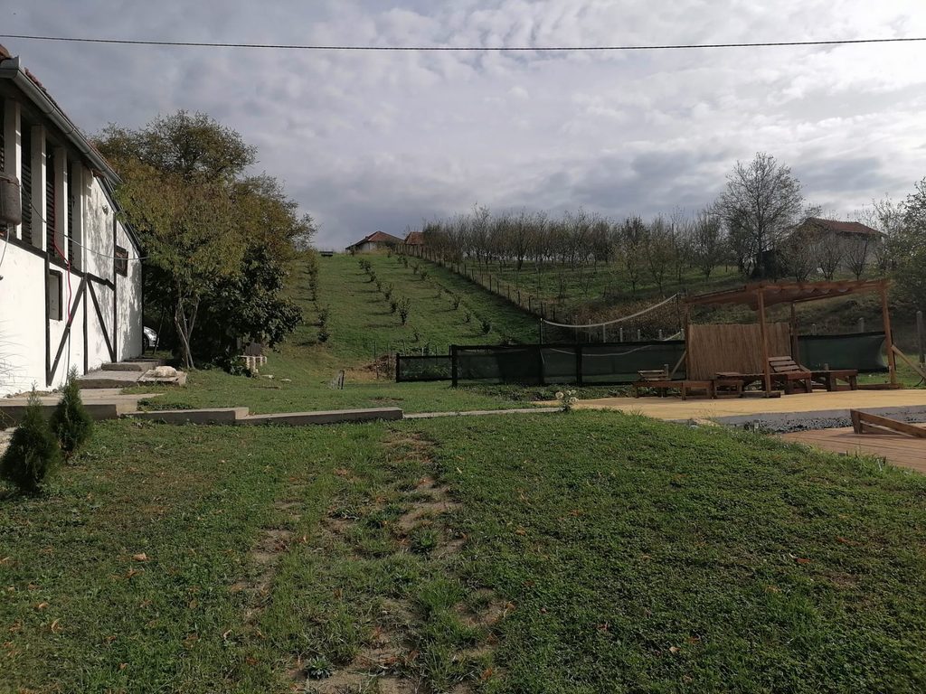 ljesnici