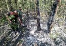 Чланови Ловачког удружења „Срндаћ“ из Осмака помогли у гашењу шумског пожара на локалитету Врело – Пандури