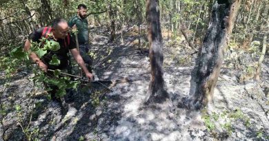Чланови Ловачког удружења „Срндаћ“ из Осмака помогли у гашењу шумског пожара на локалитету Врело – Пандури